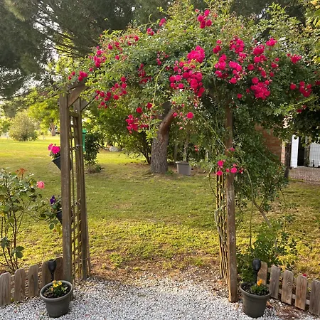 D'hote Bed & Breakfast 3*