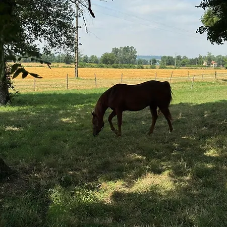 Bed & Breakfast D'hote 3*