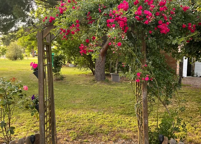 D'hote 住宿加早餐酒店 3*