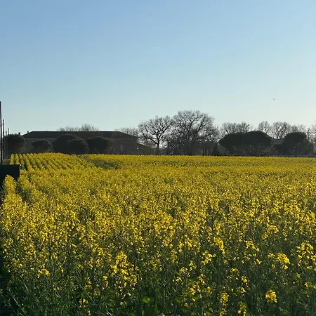 Frühstückspension D'hote