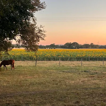 Nocleg ze śniadaniem D'hote Revel (Haute-Garonne)