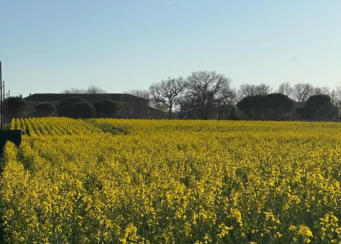 לינה וארוחת בוקר D'hote